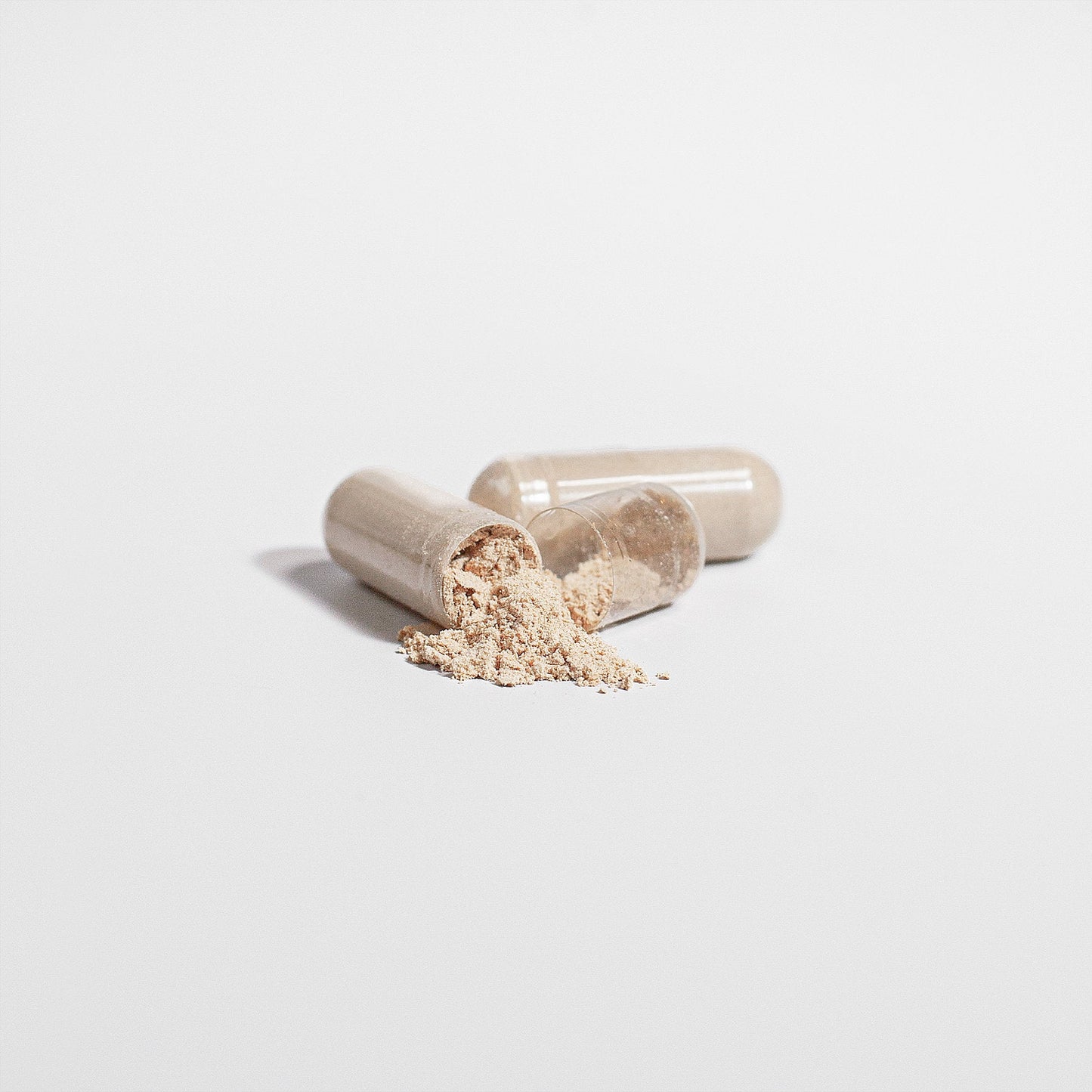 Reishi Mushroom Immune Support